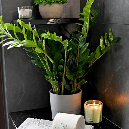 Apartamento Janetta Nad Jeziorem *