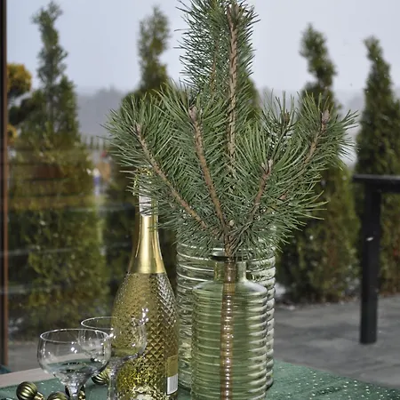 Janetta Nad Jeziorem