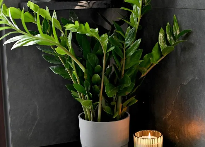 公寓 Janetta Nad Jeziorem *